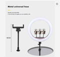 22" ringh light